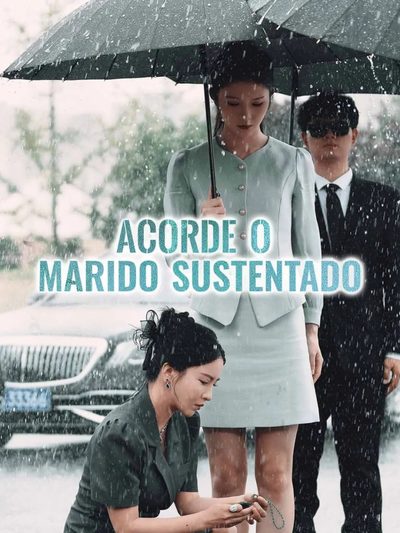 Capa da minisserie Acorde o Marido Sustentado dublado