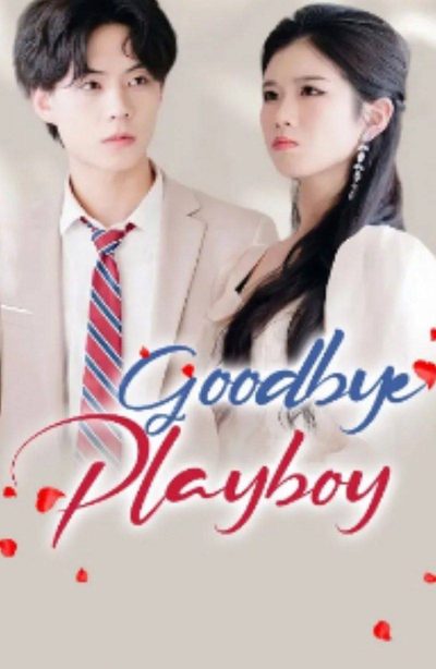 Capa da minisserie Adeus Playboy