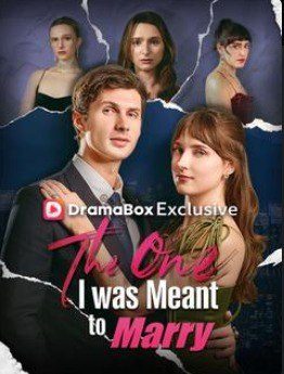 Capa da minisserie The One I Was Meant To Marry a Pessoa com Quem Eu Deveria Me Casar